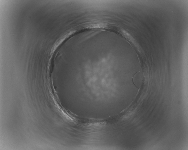 X0000081390721200701182231