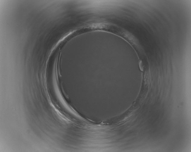 X0000081390722200701182231