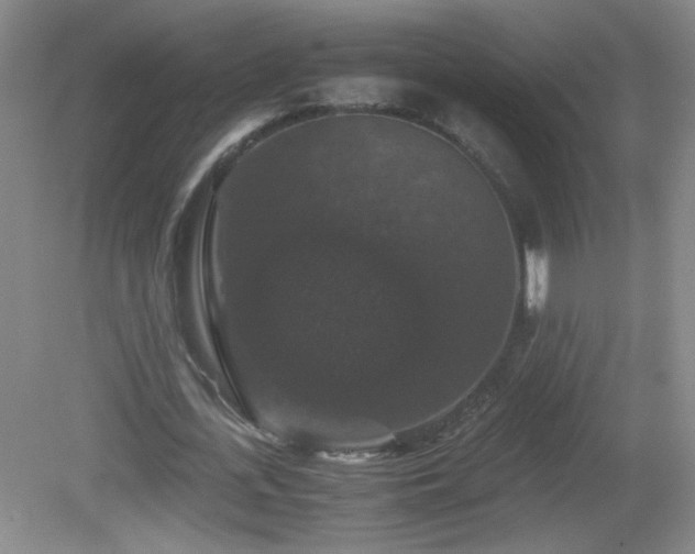 X0000081390723200701182231