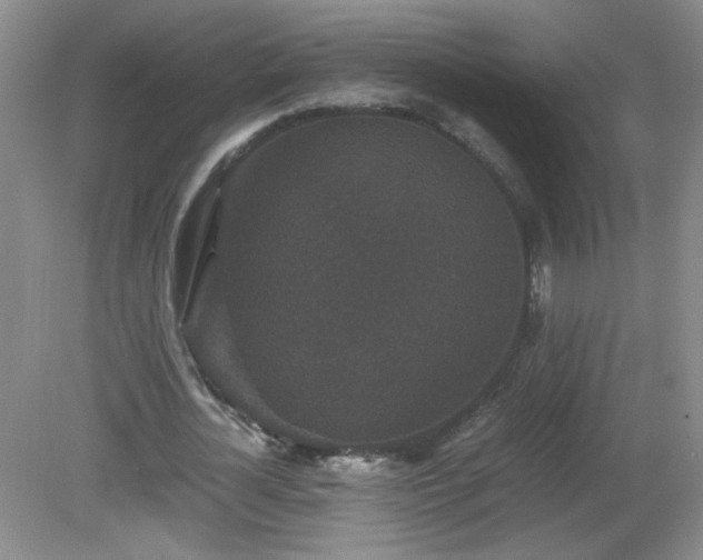 X0000081390724200701182231