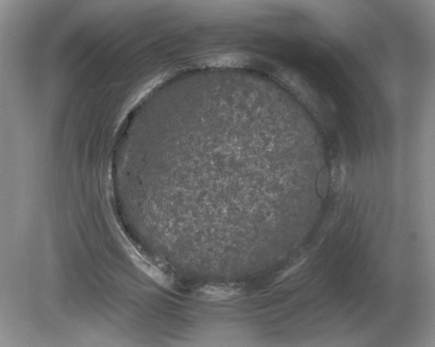 X0000081390725200701182231