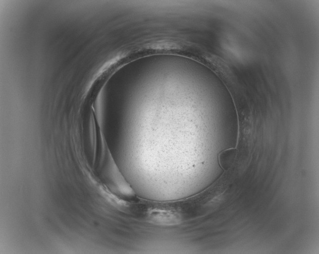 X0000081390727200701182231