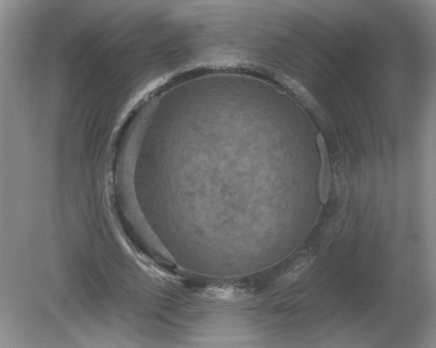 X0000081390728200701182231