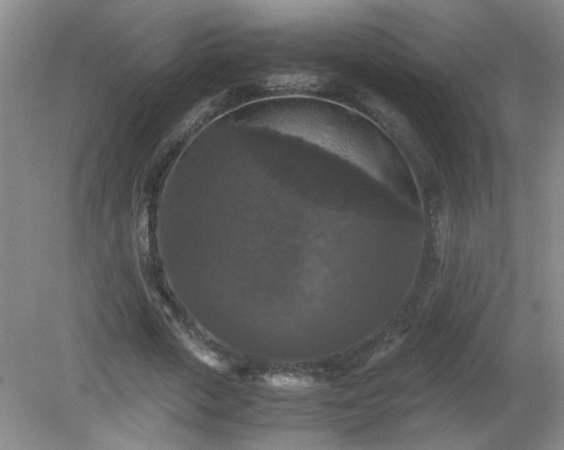 X0000081390729200701182231