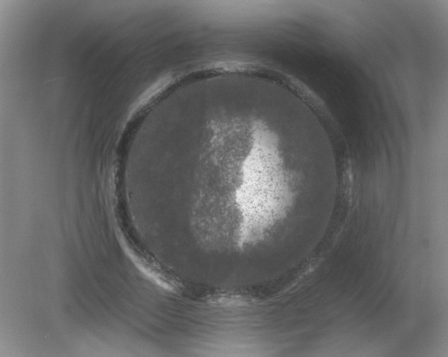 X0000081390730200701182231