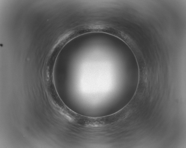 X0000081390731200701182231