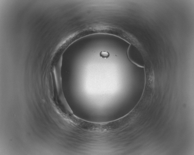 X0000081390732200701182231