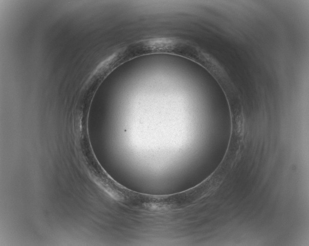 X0000081390733200701182231