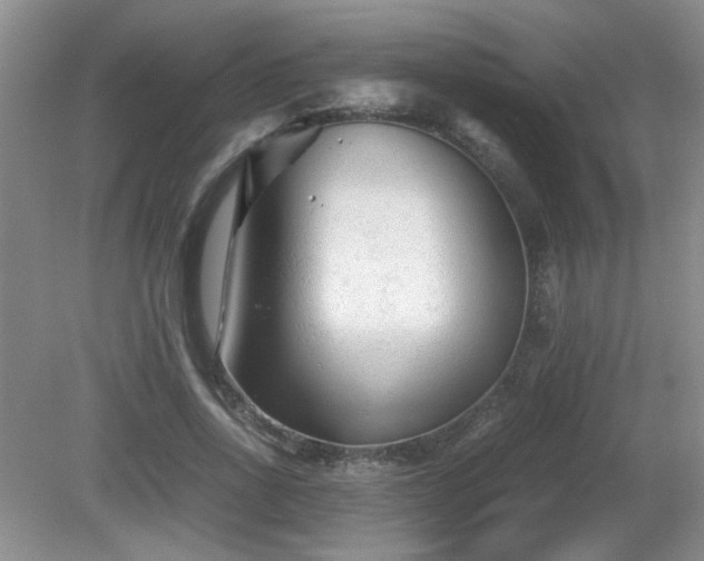 X0000081390734200701182231