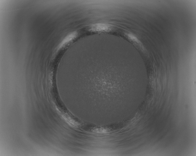 X0000081390735200701182231