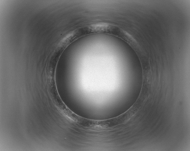 X0000081390737200701182231