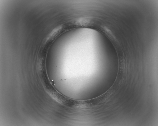 X0000081390738200701182231