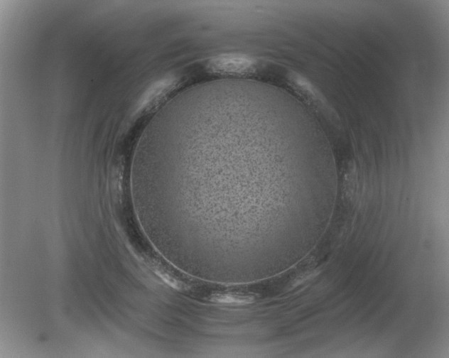 X0000081390739200701182231