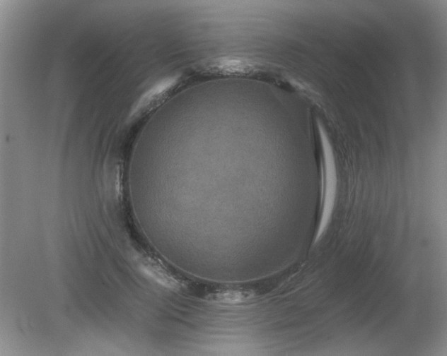 X0000081390740200701182231