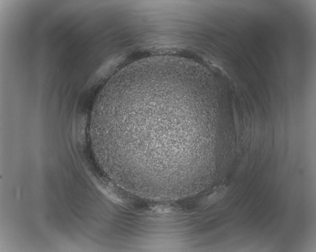 X0000081390742200701182231