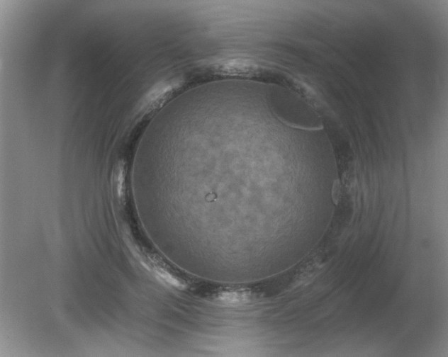 X0000081390744200701182231