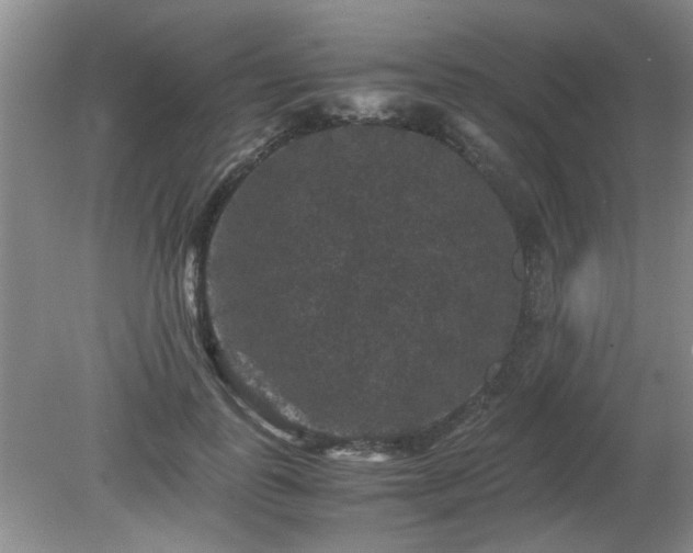 X0000081390747200701182232