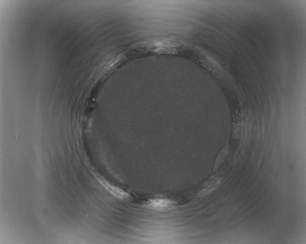 X0000081390748200701182232