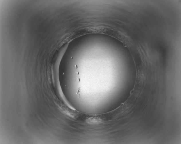 X0000081390749200701182232