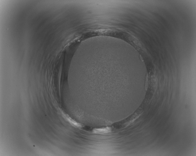 X0000081390750200701182232