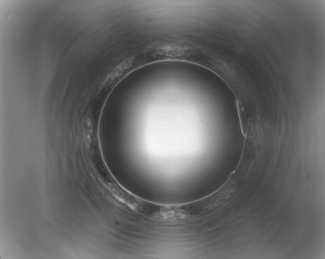 X0000081390752200701182232