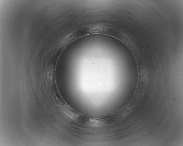 X0000081390753200701182232