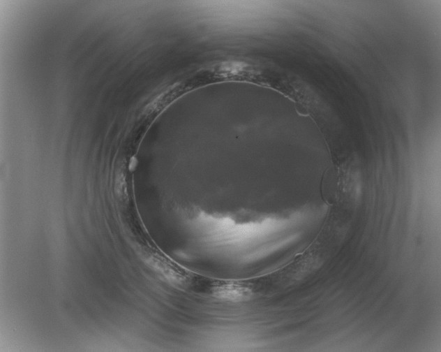 X0000081390754200701182232