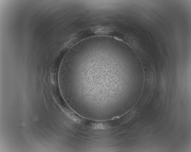 X0000081390755200701182232