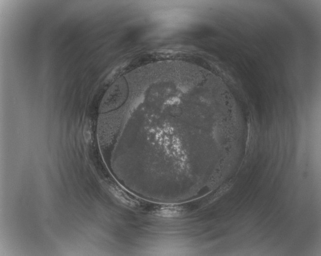 X0000081390758200701182232