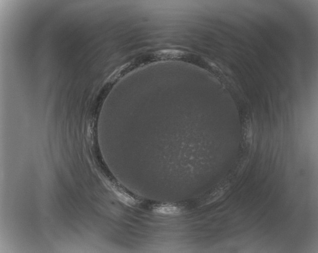 X0000081390759200701182232