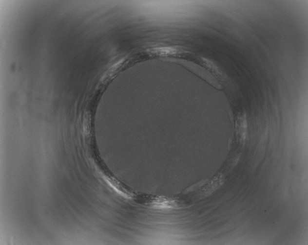 X0000081390760200701182232