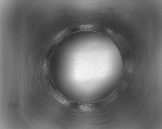 X0000081390761200701182232