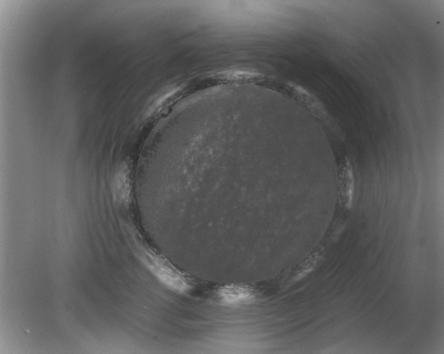 X0000081390762200701182232