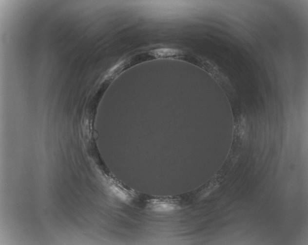 X0000081390763200701182232