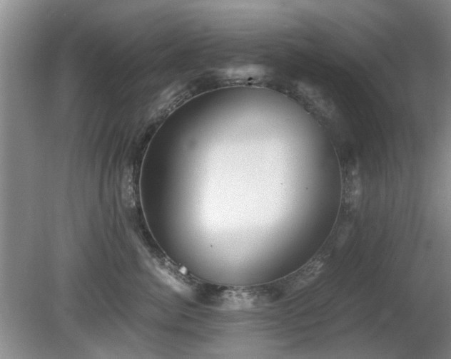 X0000081390764200701182232