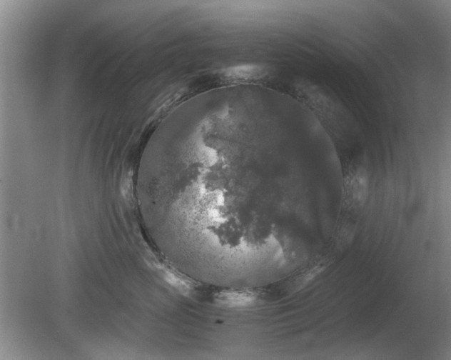 X0000081390765200701182232