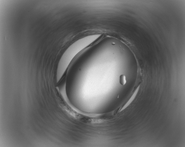 X0000081390766200701182232