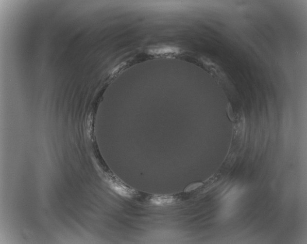 X0000081390767200701182232