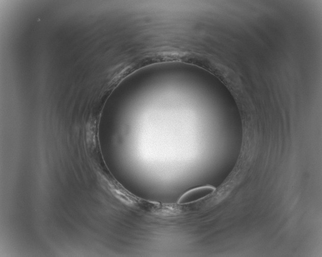 X0000081390768200701182232