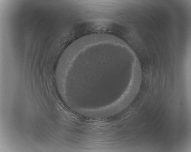 X0000081390769200701182231