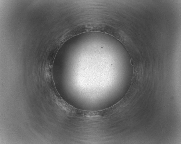 X0000081390770200701182231