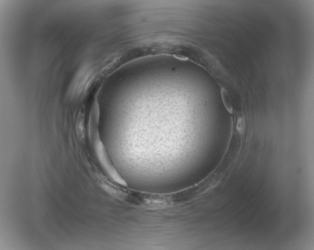 X0000081390771200701182231