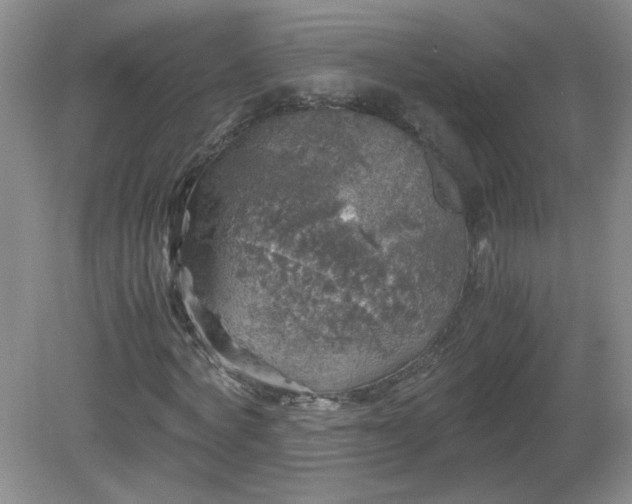 X0000081390772200701182231