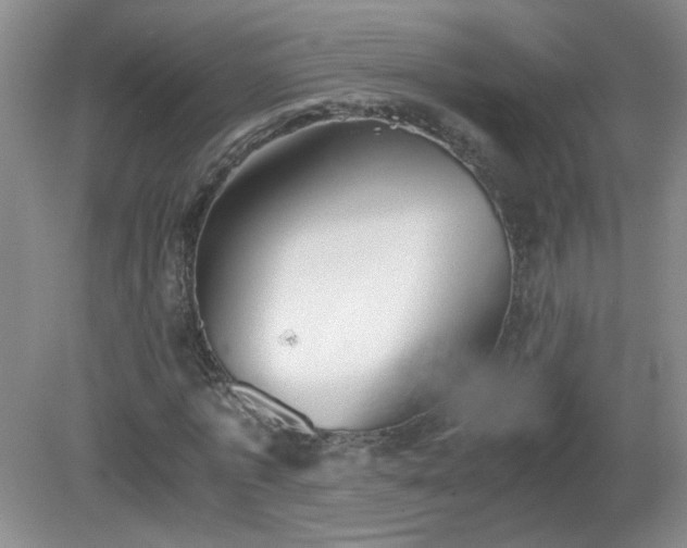 X0000081390773200701182231