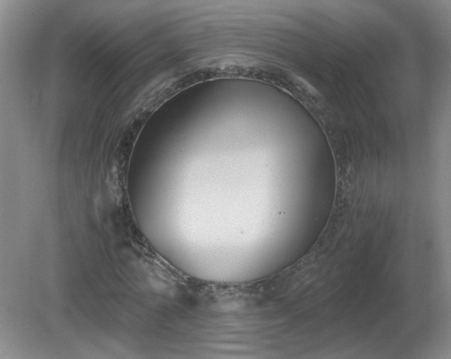 X0000081390774200701182231