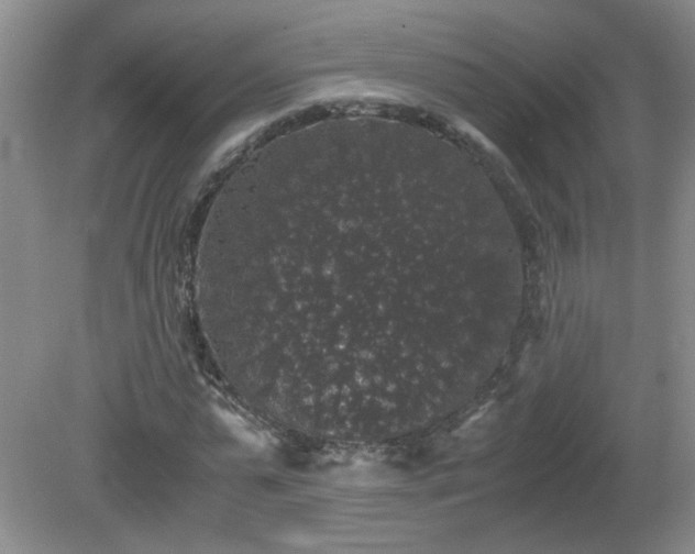 X0000081390775200701182231