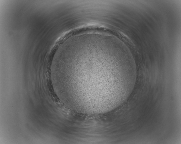 X0000081390776200701182231