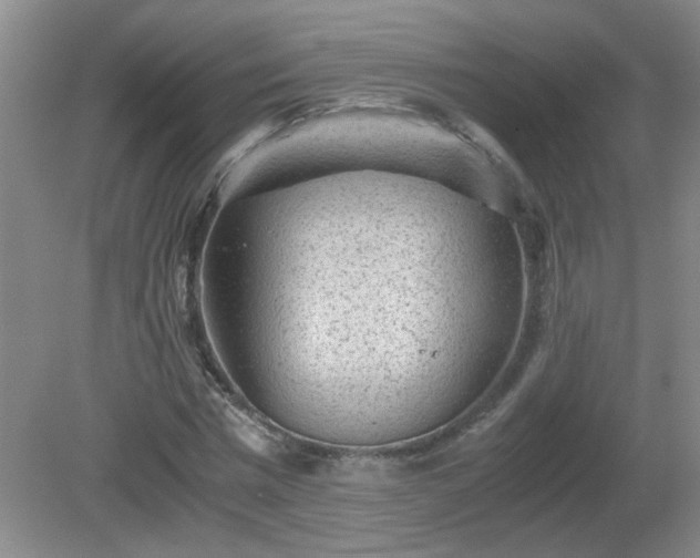 X0000081390777200701182231