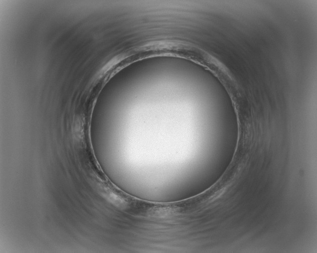 X0000081390778200701182231