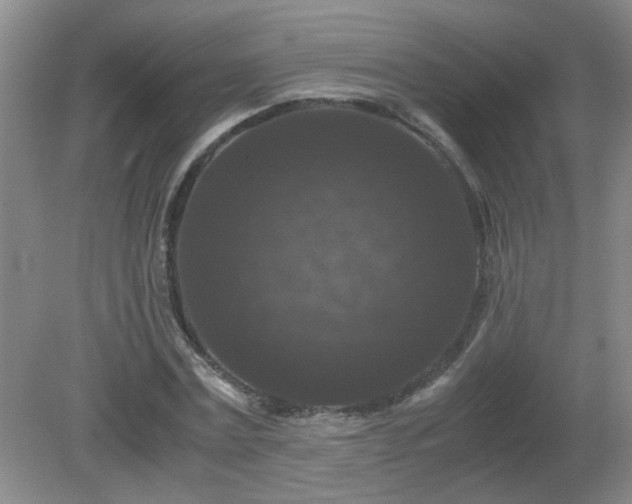 X0000081390779200701182231